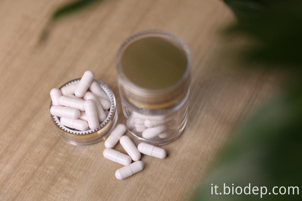 Lactobacillus Rhamnosus